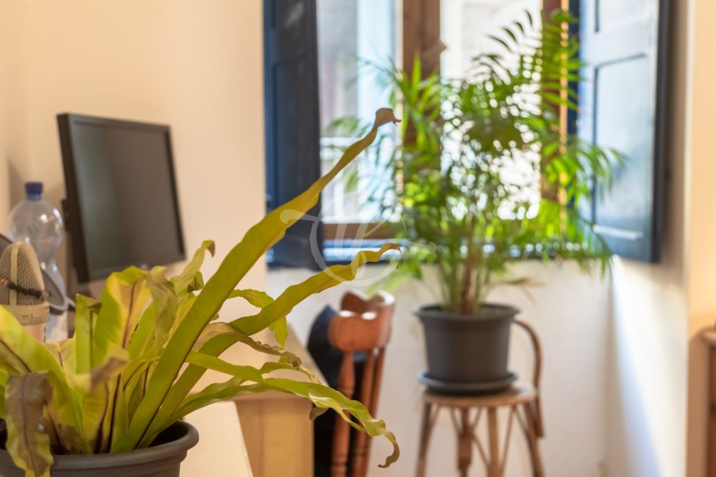 Naxxar House of Character