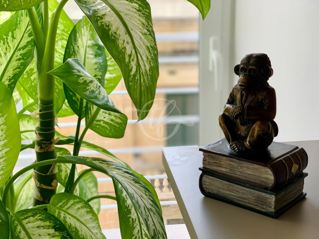 Beautiful Apartment for Rent in Sliema