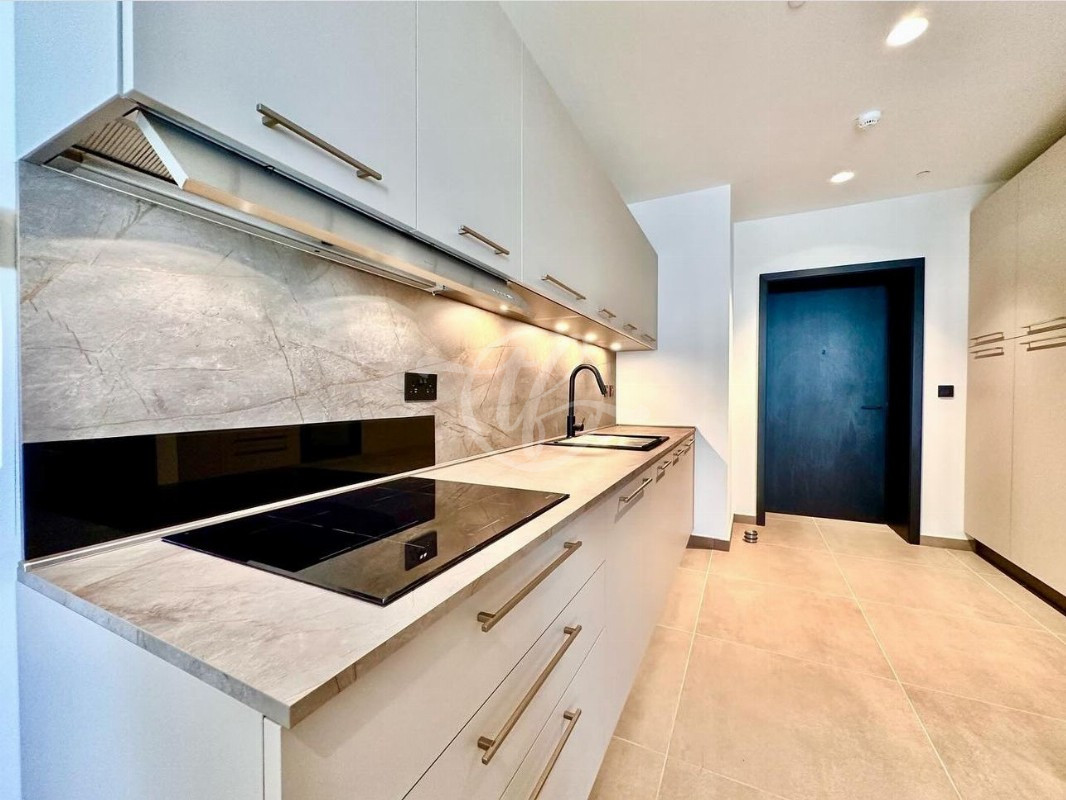 Designer finished Apartment for rent in Mercury Towers